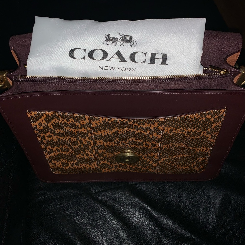 Tabby Shoulder Bag In Colorblock With Snakeskin - Picture 4 of 8